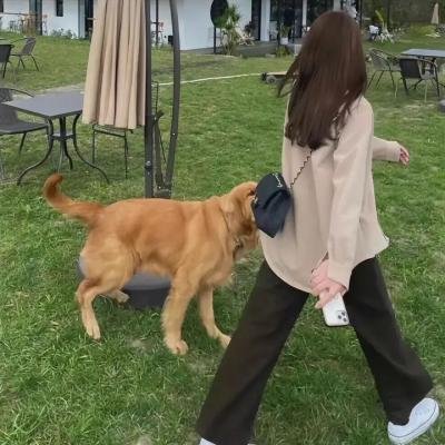 红翼